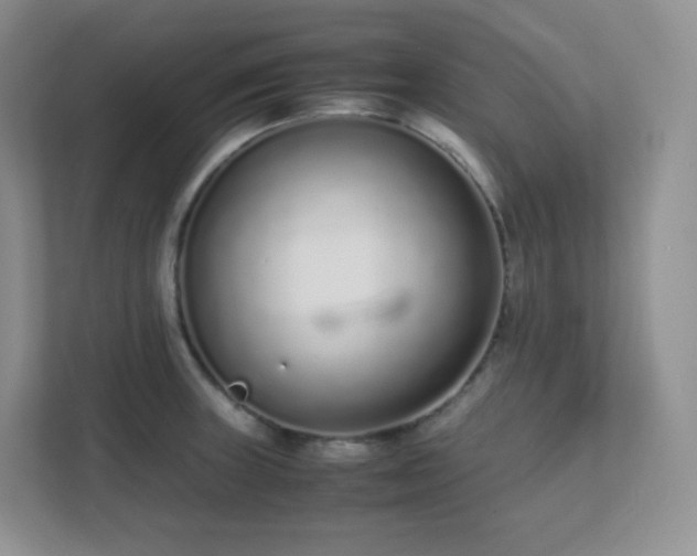 X0000111501235200907211023