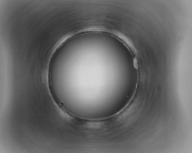 X0000111501237200907211023