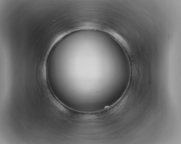 X0000111501238200907211023