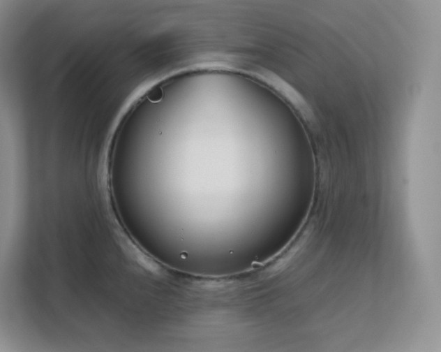 X0000111501240200907211023