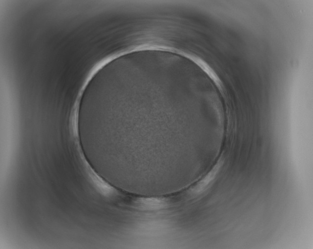 X0000111501246200907211024