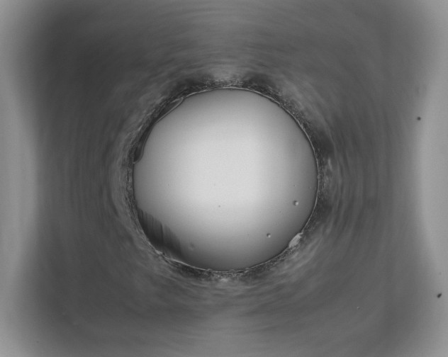 X0000111501249200907211023