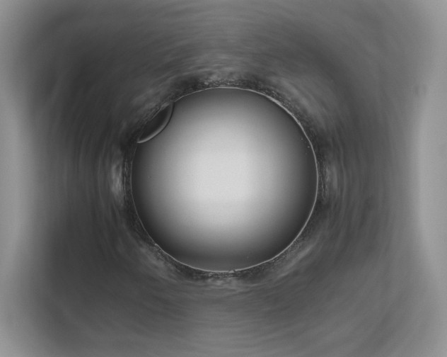 X0000111501250200907211023