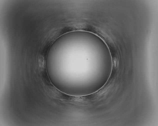 X0000111501251200907211023