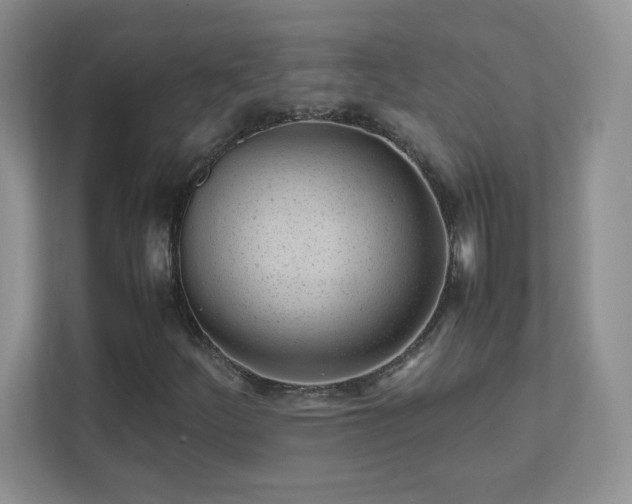 X0000111501252200907211023