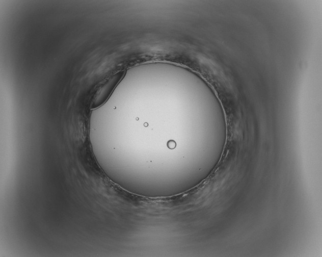 X0000111501253200907211023