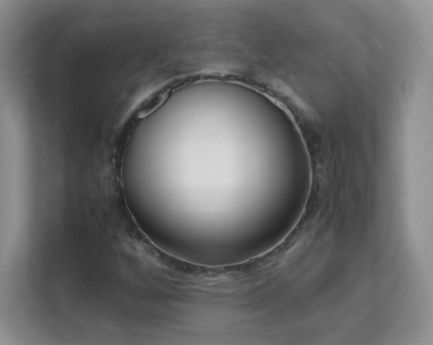 X0000111501256200907211023