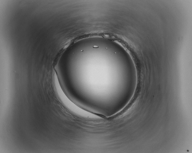 X0000111501257200907211023