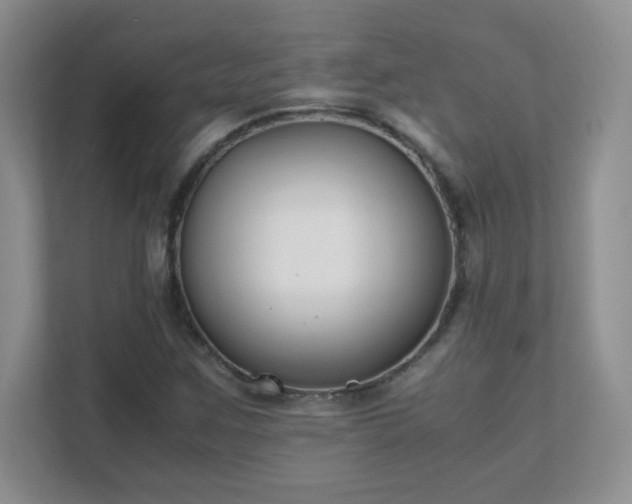 X0000111501259200907211023