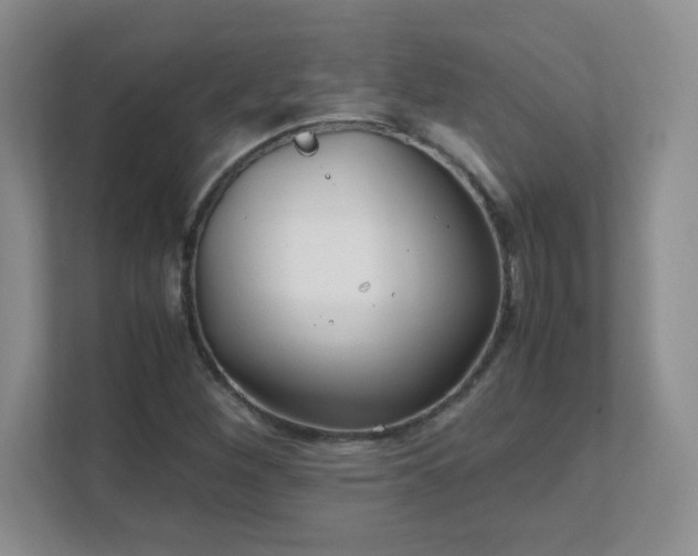 X0000111501260200907211023