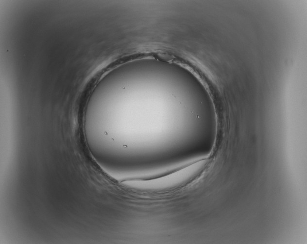 X0000111501261200907211023