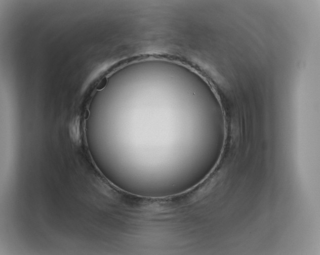 X0000111501262200907211023