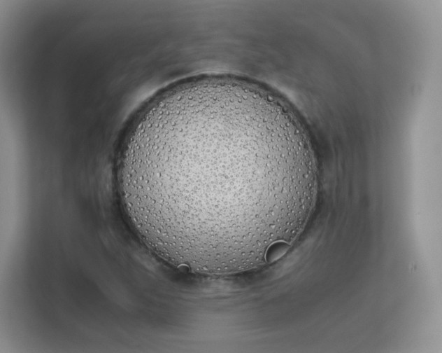 X0000111501263200907211023