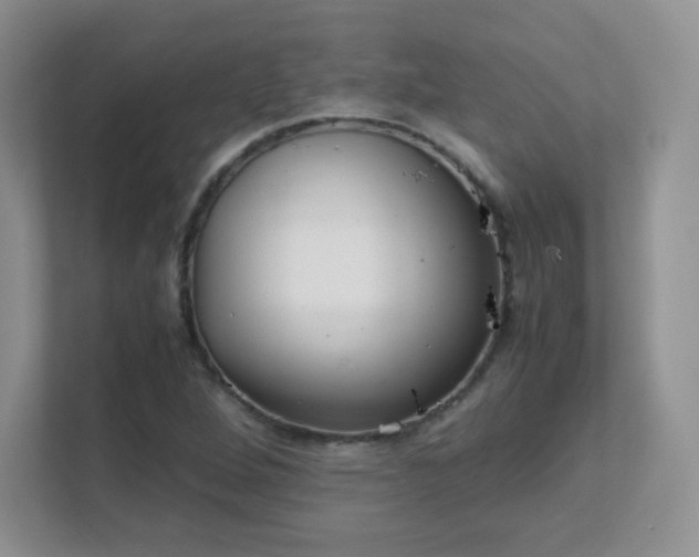 X0000111501264200907211023