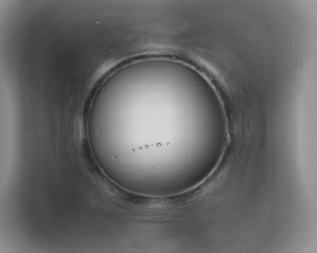 X0000111501267200907211023