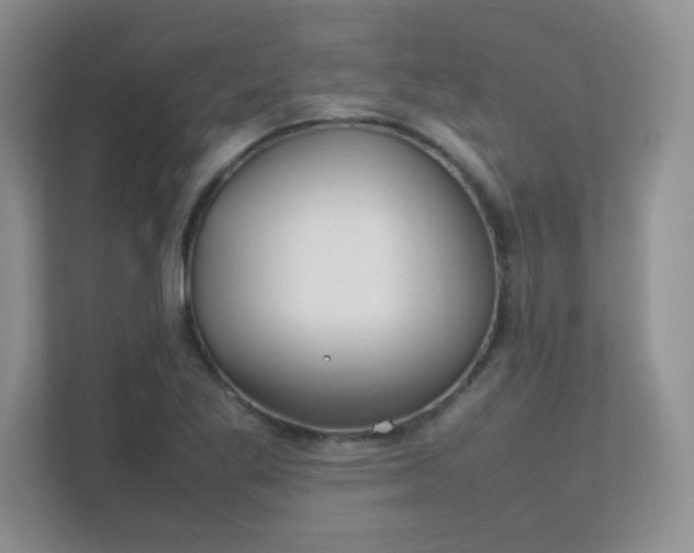 X0000111501269200907211023