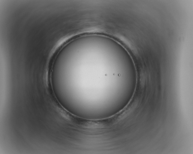 X0000111501270200907211023