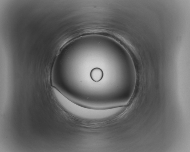 X0000111501273200907211023