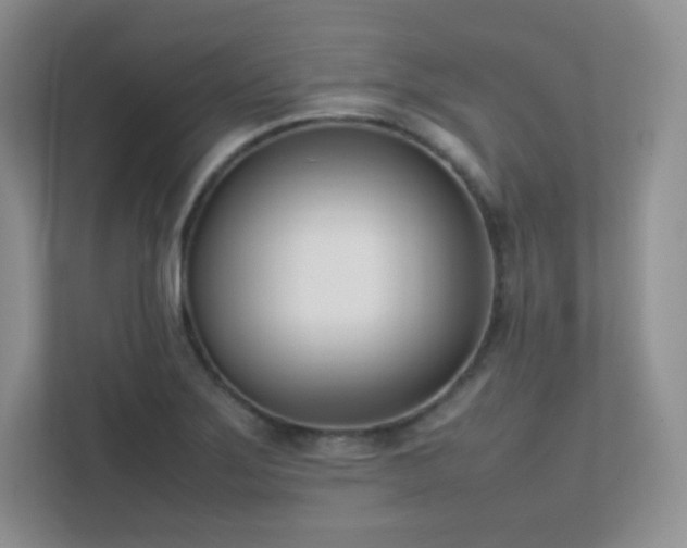 X0000111501275200907211023