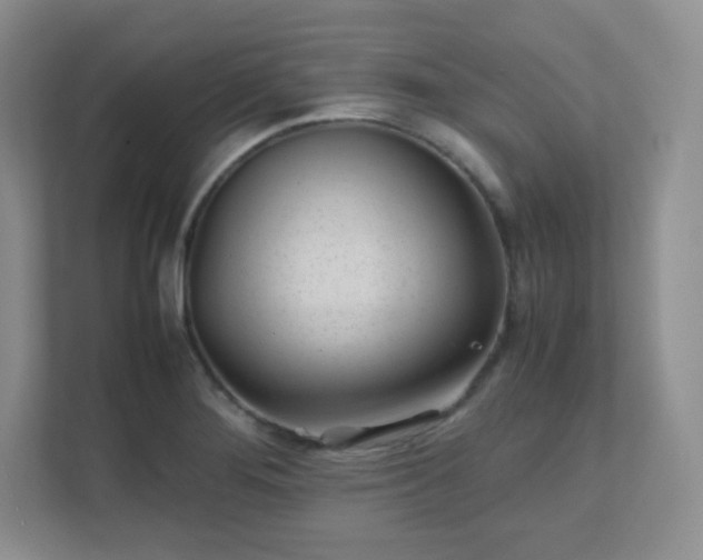X0000111501276200907211023
