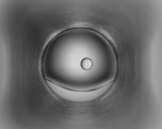 X0000111501277200907211023