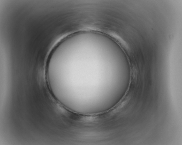 X0000111501278200907211023