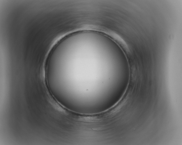 X0000111501280200907211023