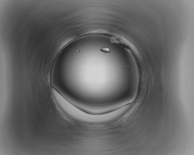X0000111501281200907211023