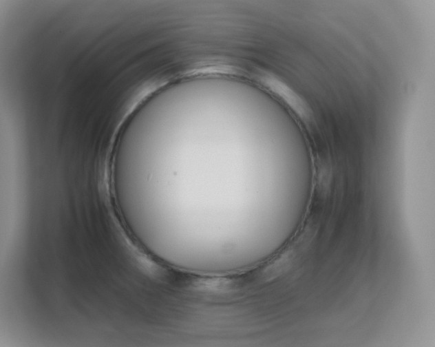 X0000111501282200907211023