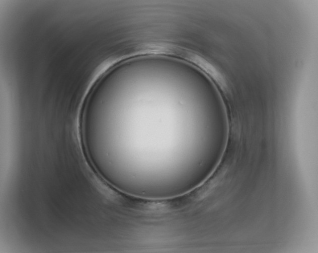 X0000111501283200907211023