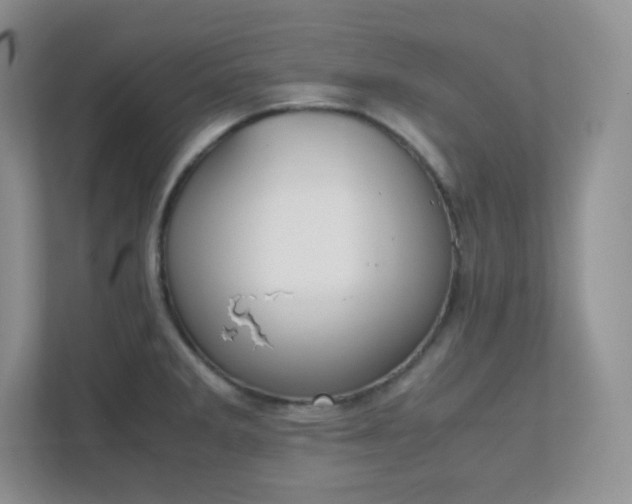 X0000111501285200907211022