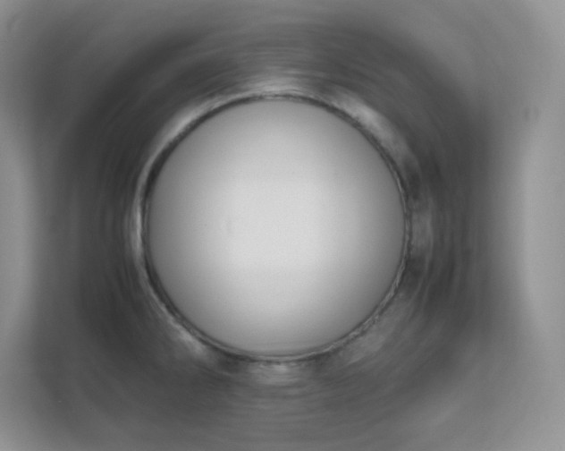 X0000111501286200907211022