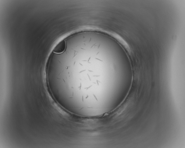 X0000111501287200907211022