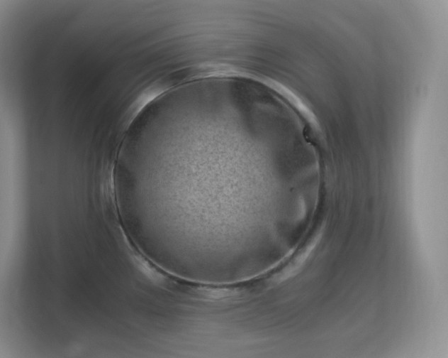 X0000111501289200907211022