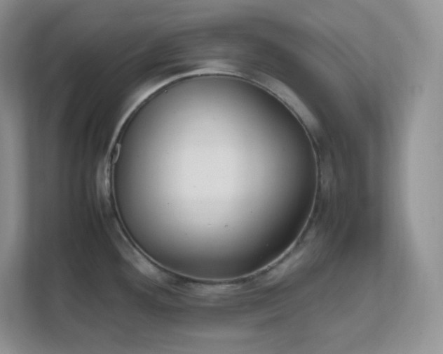 X0000111501292200907211022