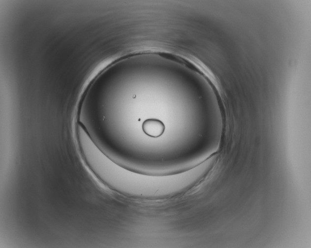 X0000111501293200907211022