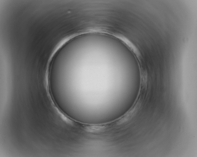 X0000111501294200907211022