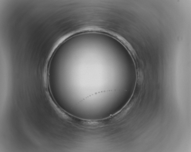 X0000111501295200907211022