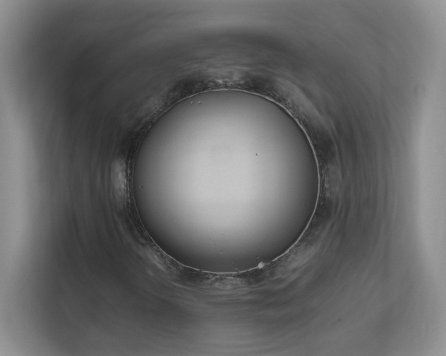 X0000111501298200907211022