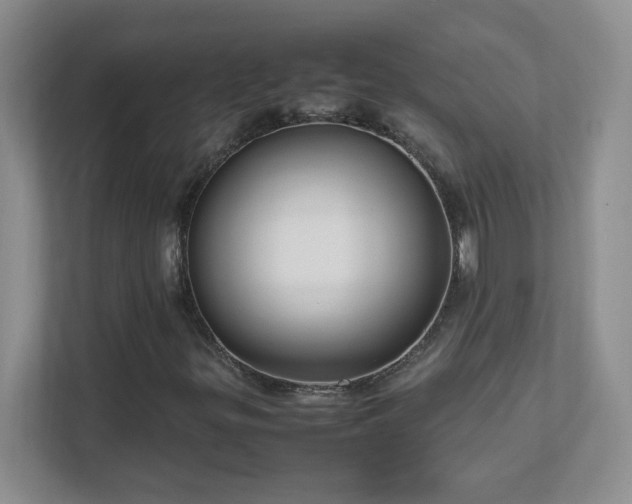 X0000111501299200907211022