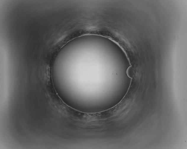 X0000111501301200907211022