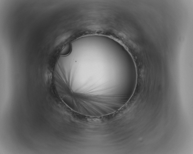 X0000111501302200907211022