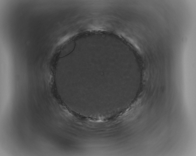 X0000111501303200907211022