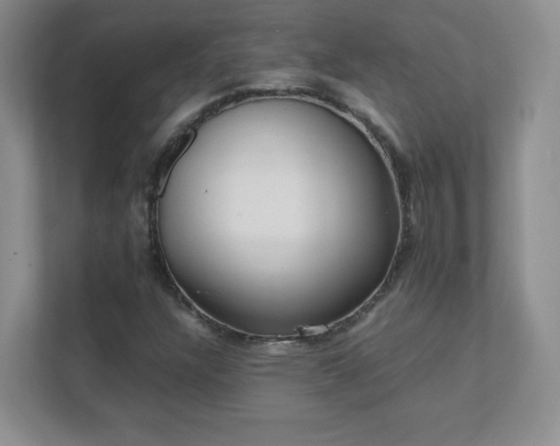 X0000111501304200907211022