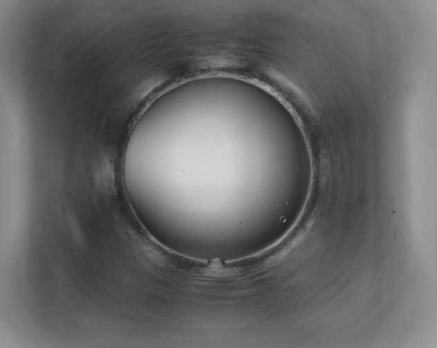 X0000111501305200907211022