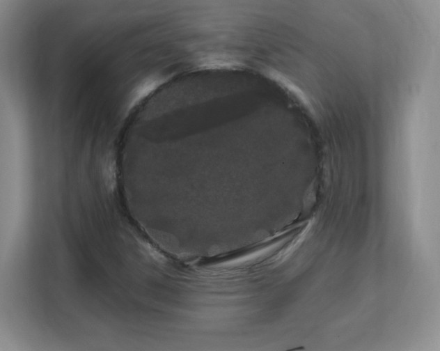 X0000111501306200907211022