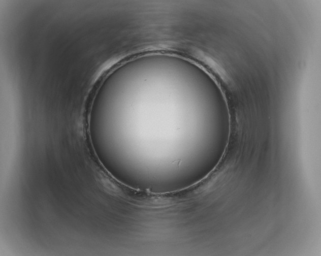 X0000111501308200907211022