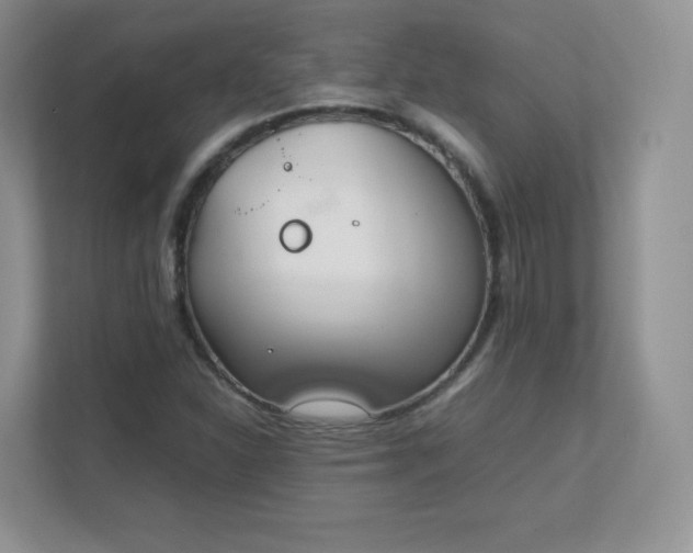 X0000111501310200907211022