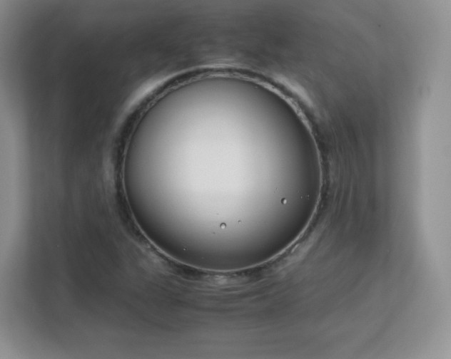 X0000111501311200907211022