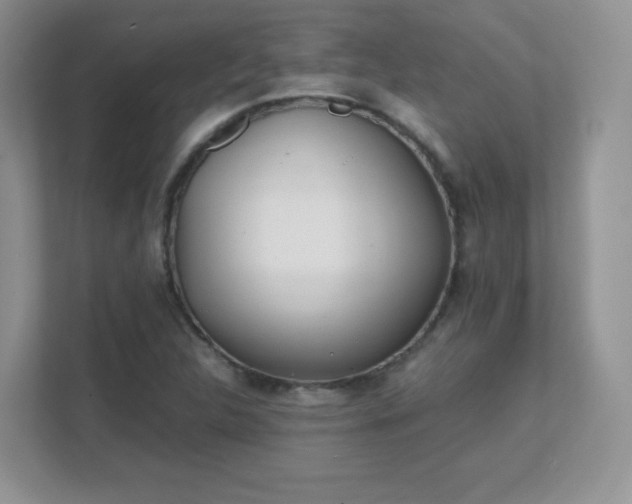 X0000111501312200907211022